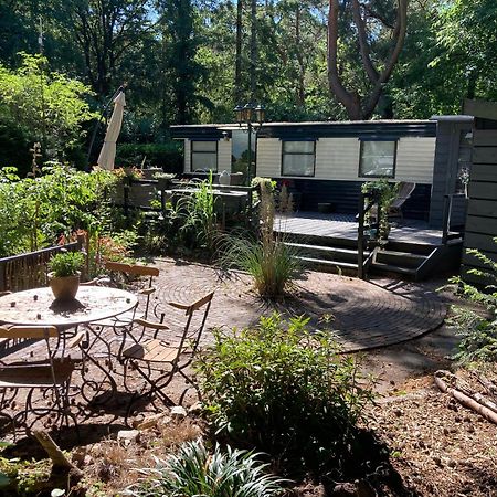 Sfeervol Chalet In Het Bos 宁斯佩特 外观 照片